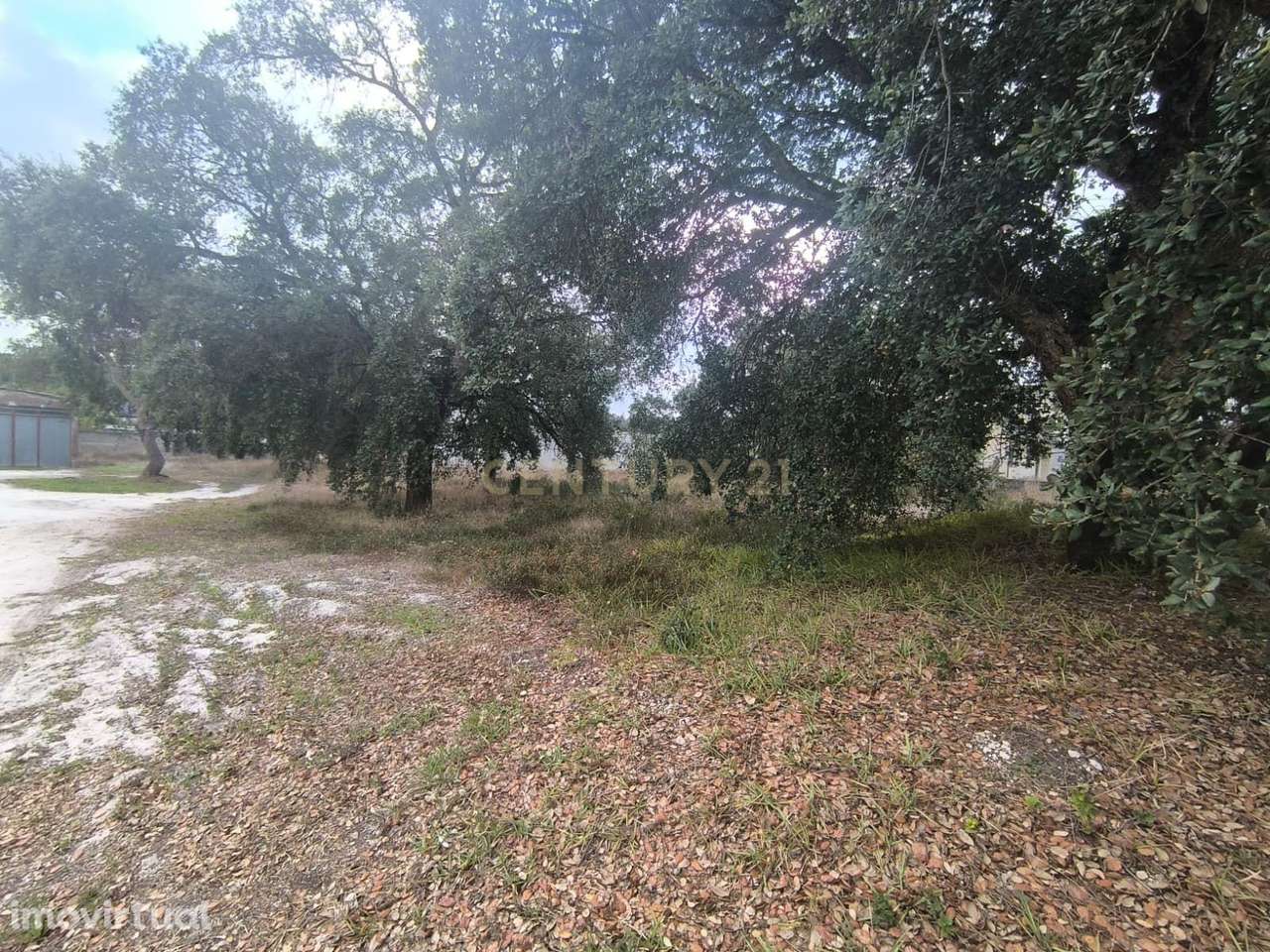 TERRENO  URBANO - Grande imagem: 4/5