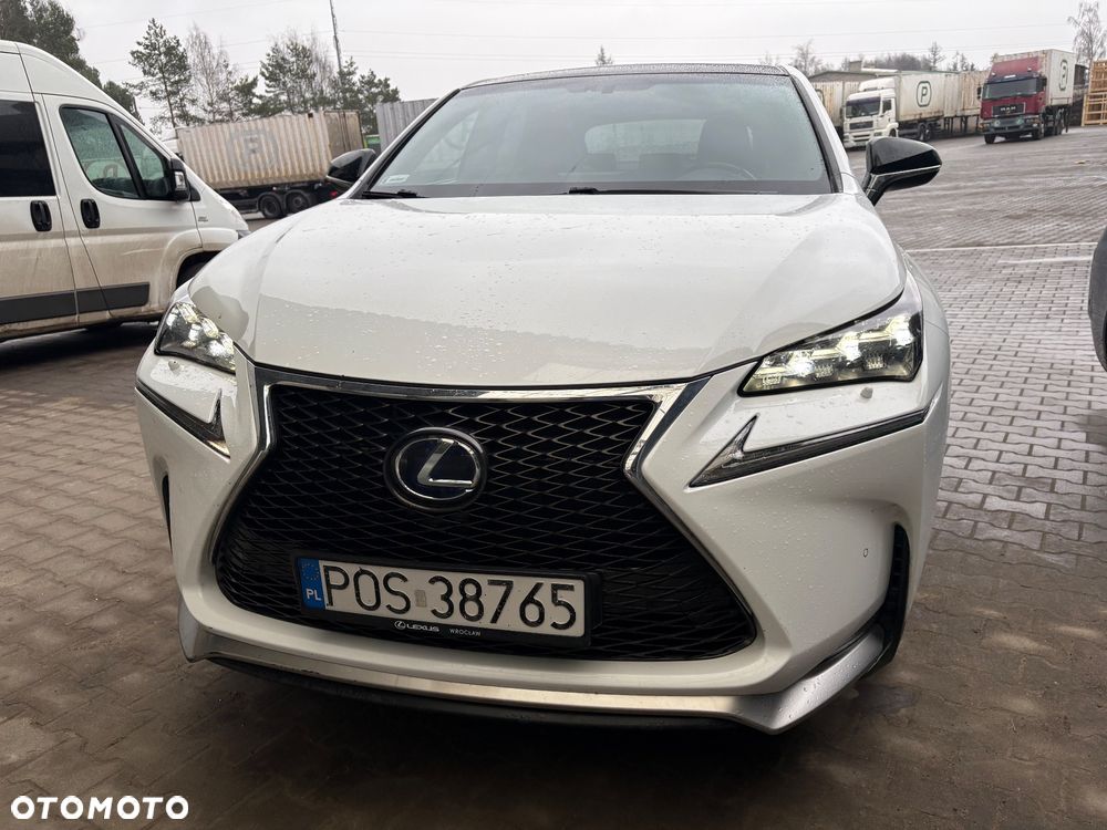 Lexus NX 300h F Sport Edition AWD - 16