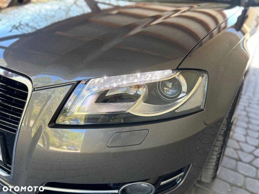 Audi A3 3-drzwiowe 1.6 TDI Attraction - 22