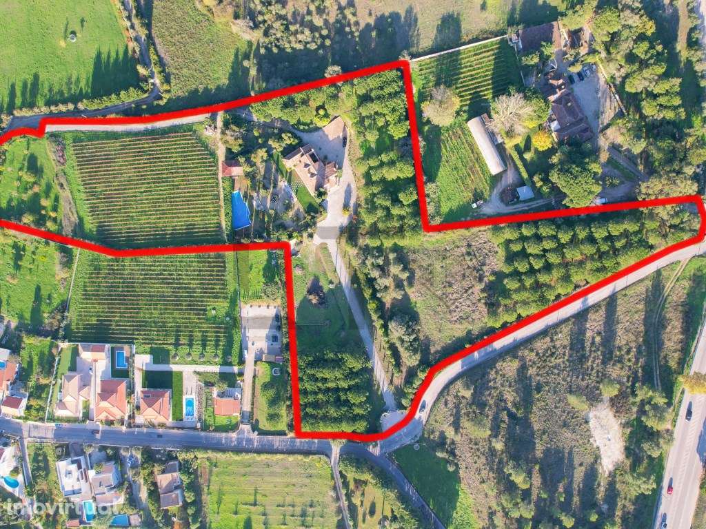 Quinta com Piscina e Vinha para Venda em Azeitão, Arrábida - Grande imagem: 2/60