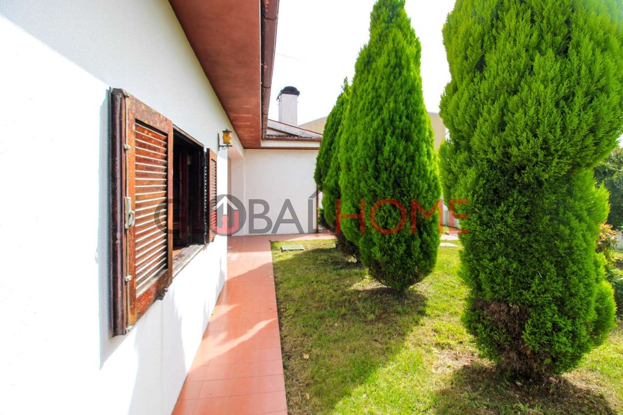 Moradia T3 com Jardim nos Carvalhos - Grande imagem: 3/56