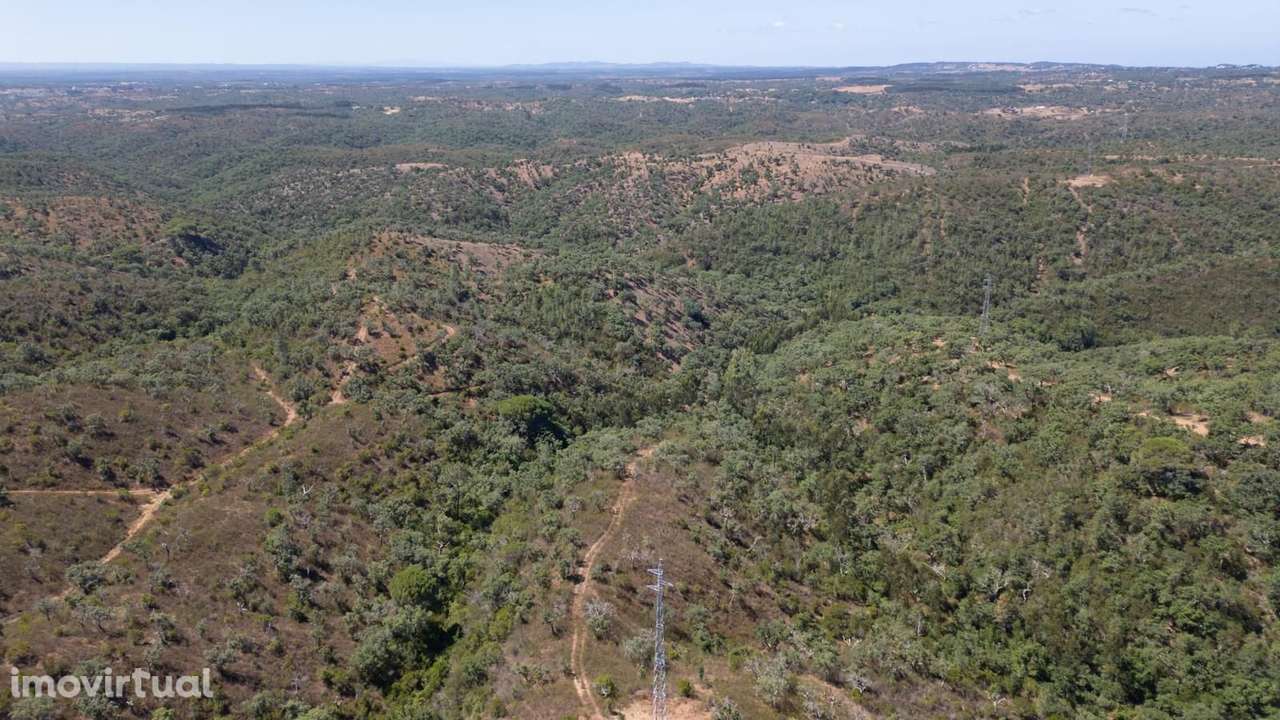 Terreno Misto 10.0 ha, São Francisco da Serra, Santiago do Cacem - Grande imagem: 5/18