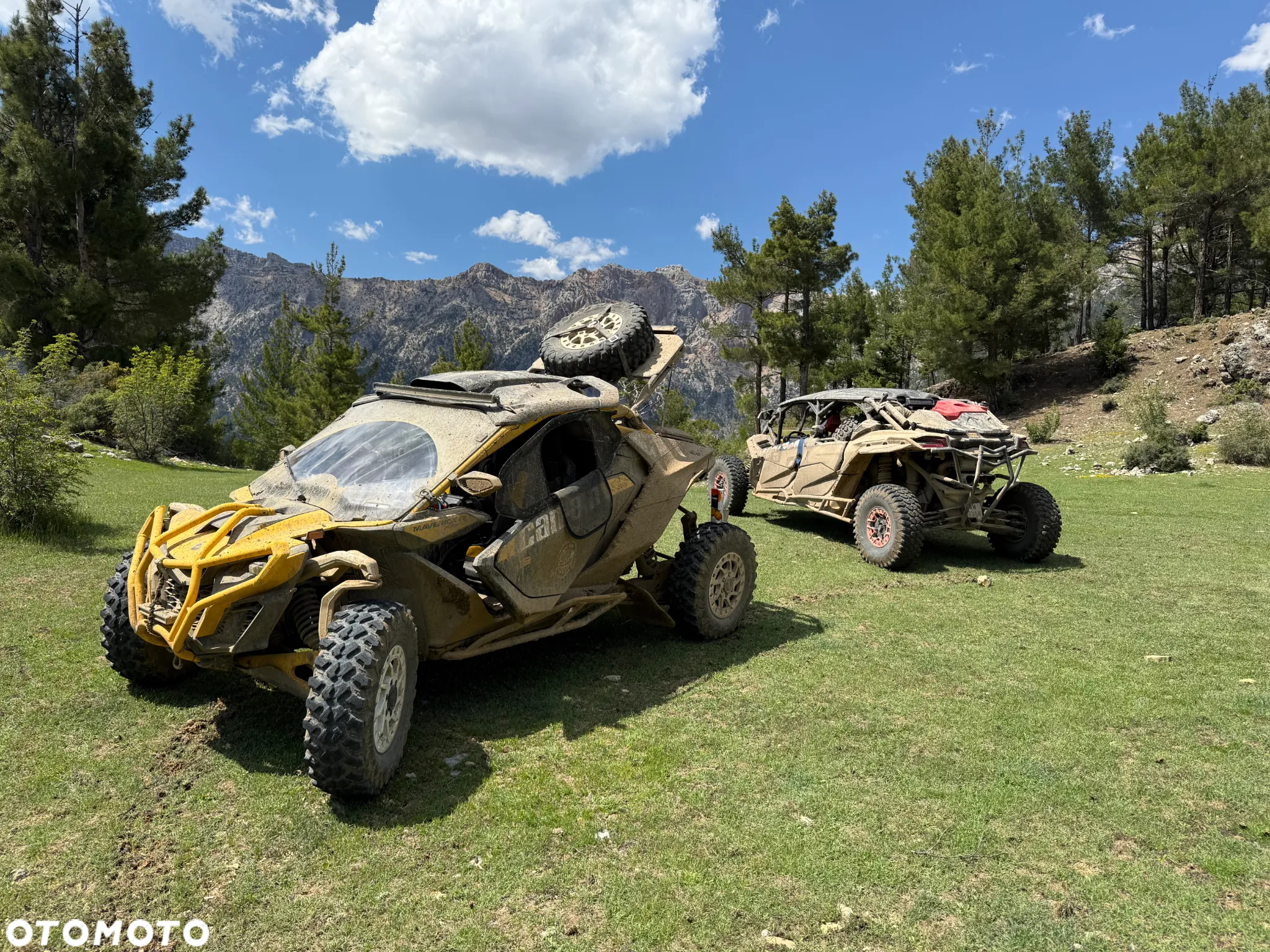 Can-Am Maverick - 26