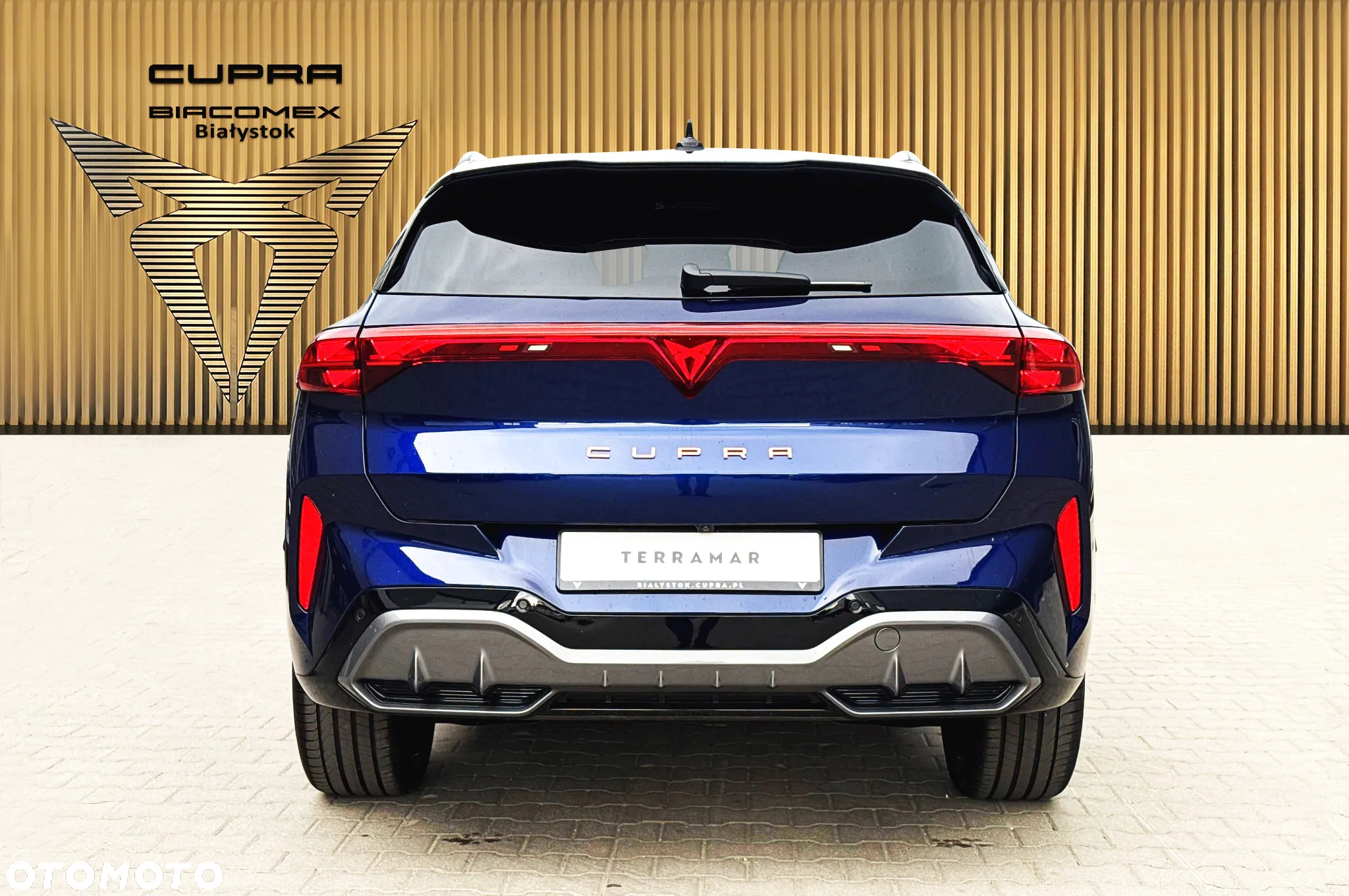 Cupra Terramar 2.0 TSI 4Drive DSG - 5