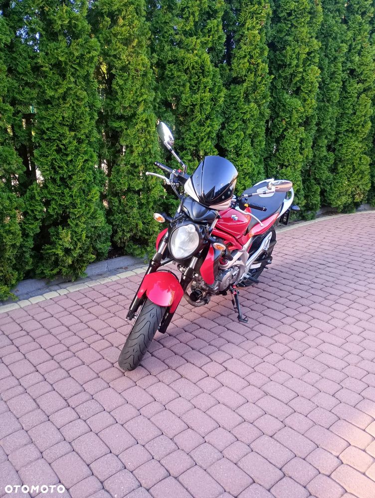 Suzuki Gladius - 17