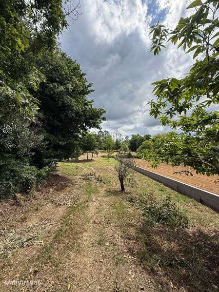 Terreno com aproximadamente 7000m² -  VISEU|SATÃO - Grande imagem: 4/12