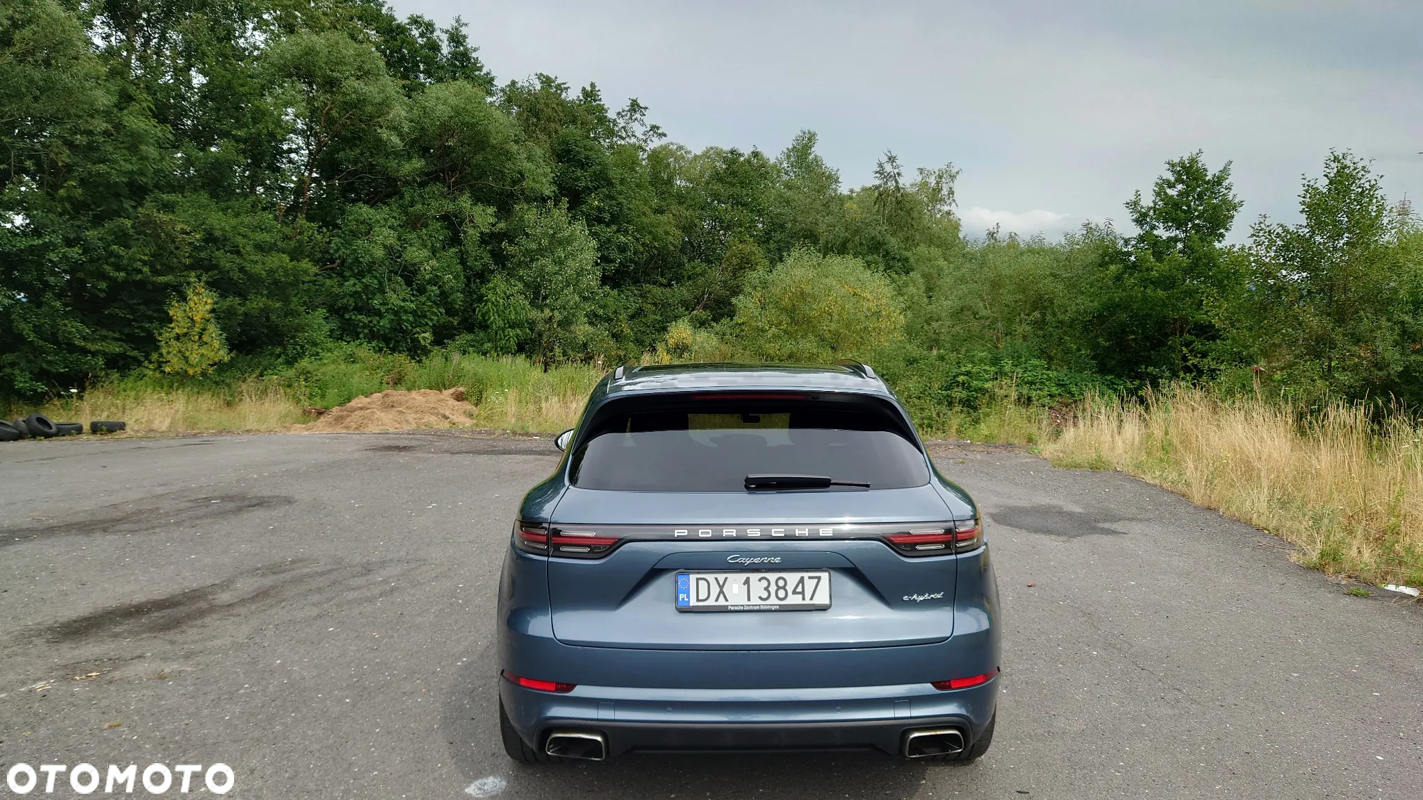 Porsche Cayenne E-Hybrid Platinum Edition - 6