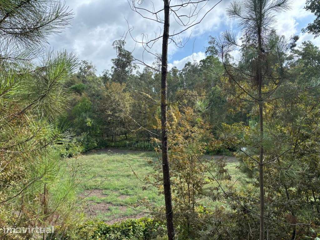 Terreno Agrícola com 5.625 m² | Verim - Póvoa de Lanhoso - Grande imagem: 5/21