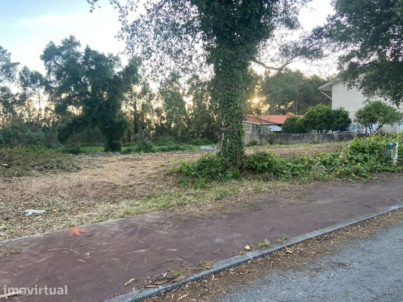 Terreno Rústico  Venda em Sangalhos,Anadia - Grande imagem: 4/16