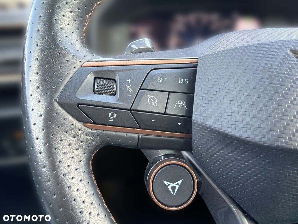 Cupra Formentor 2.0 TSI 4Drive VZ DSG - 24