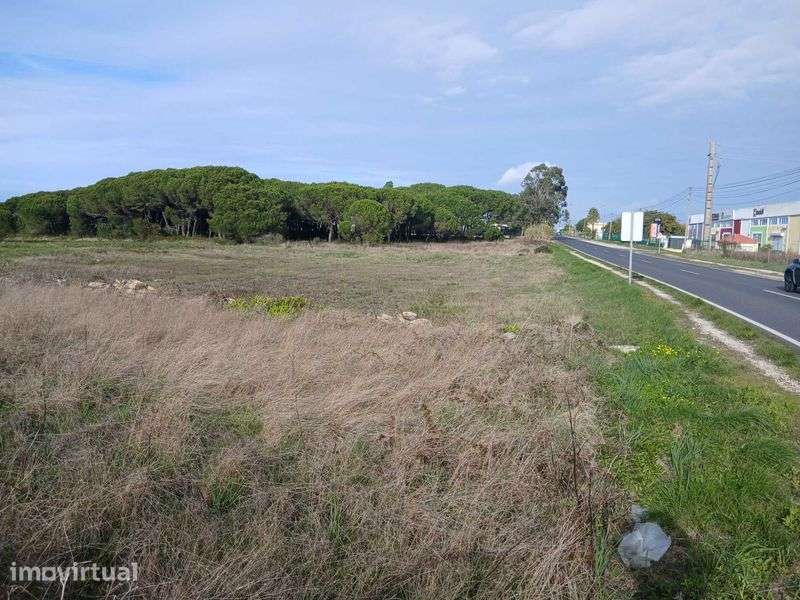 Terreno Industrial – 14.000 m² – Terrugem, Sintra - Grande imagem: 2/12