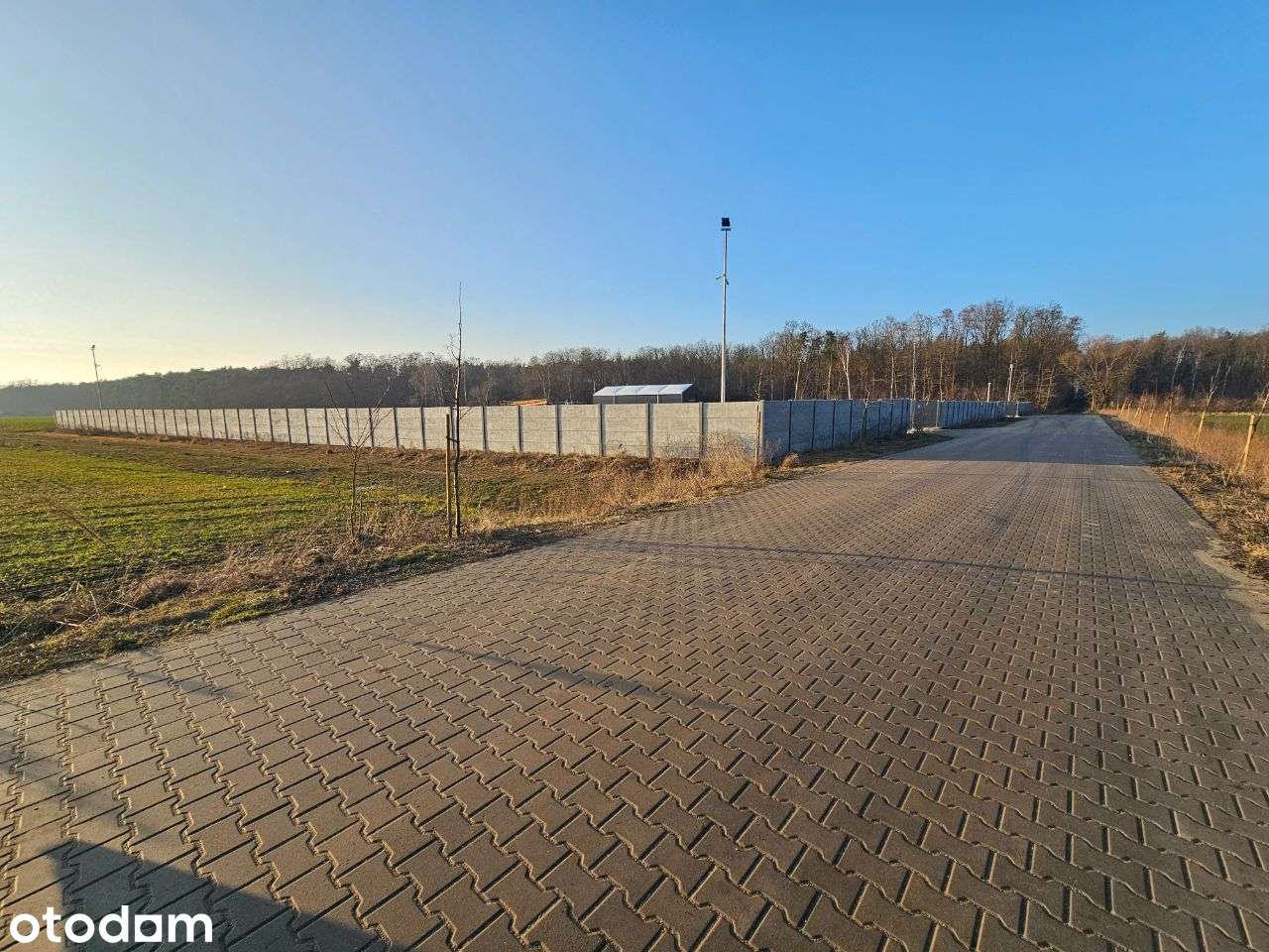 Plac na wynajem. Monitoring i Oświetlenie w cenie. - Pełny obrazek: 5/5