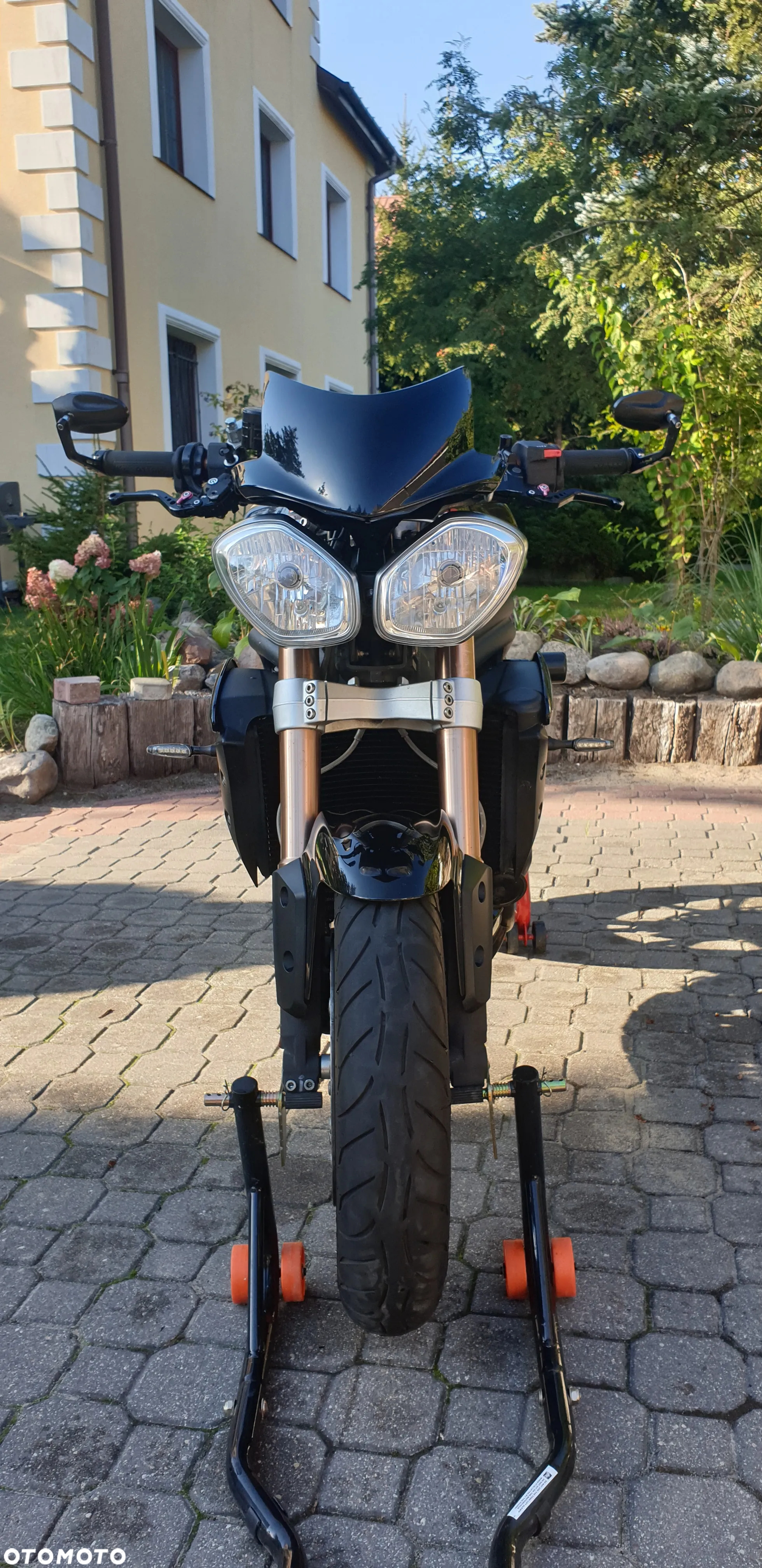 Triumph Speed Triple - 3