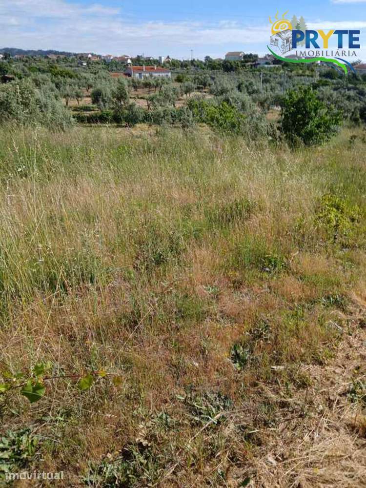 Terreno com possibilidade de construção em Montes da Senhora - Grande imagem: 2/26
