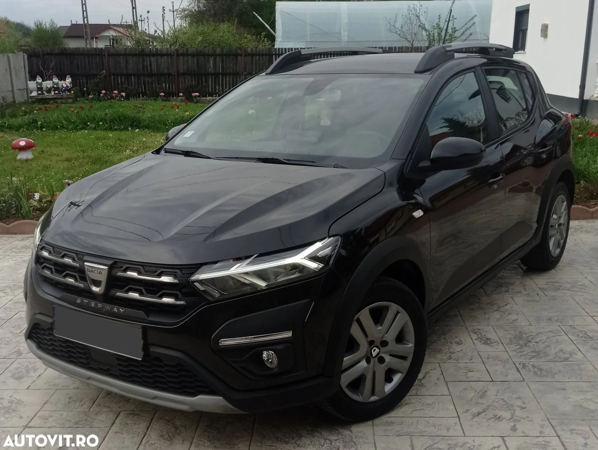 Dacia Sandero Stepway - 1