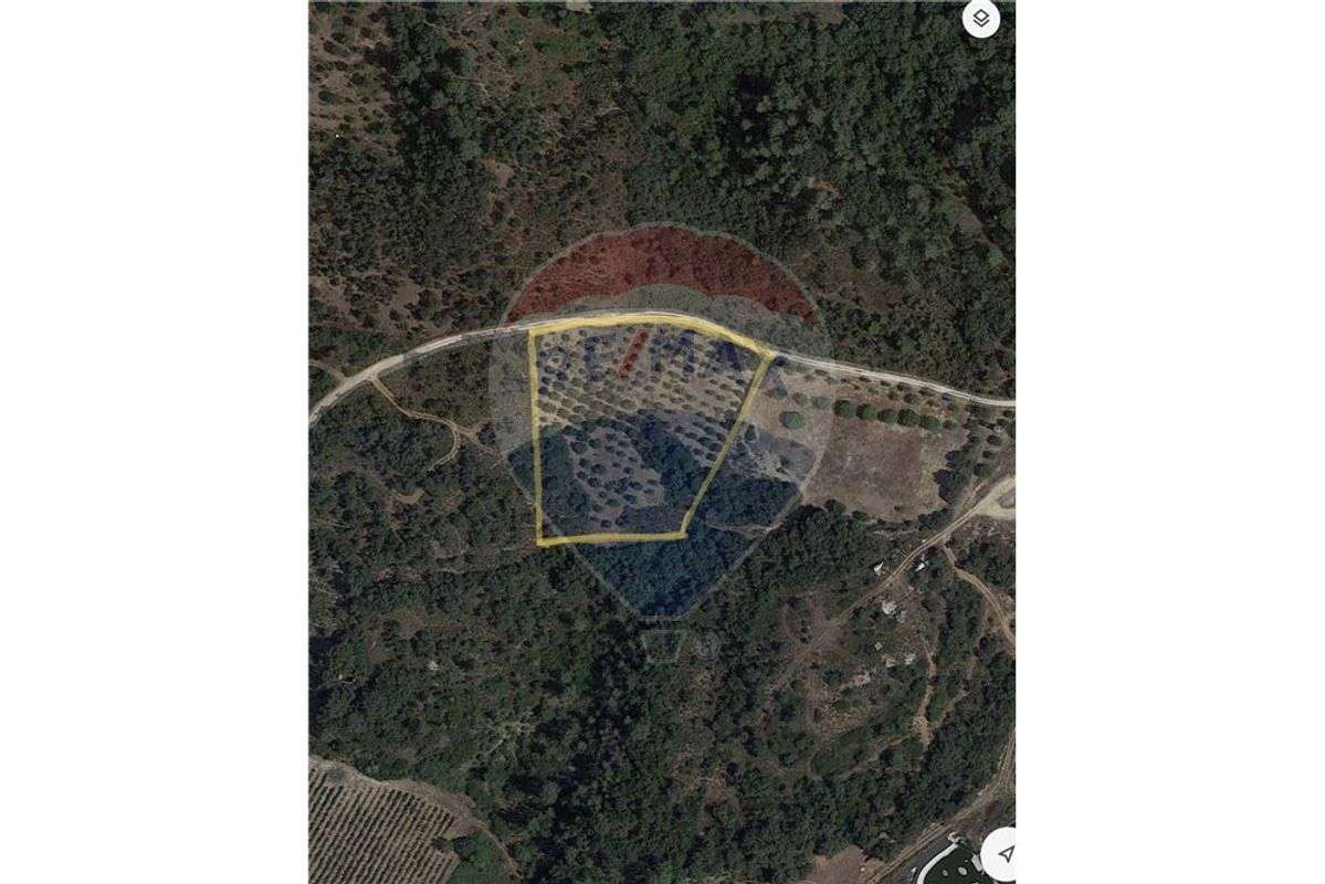 TERRENO AGRÍCOLA - Grande imagem: 3/3