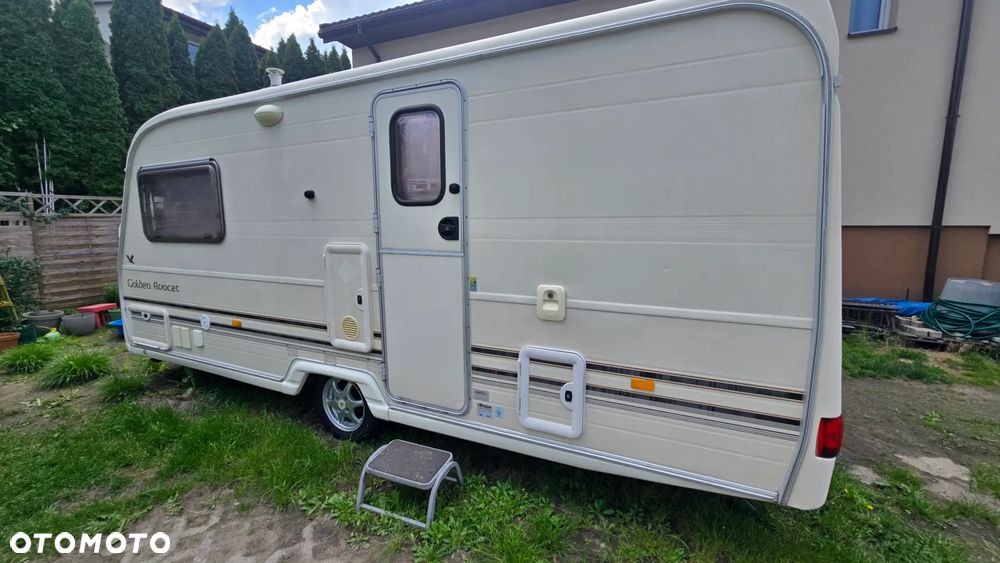 Avondale Avocet Golden - 1