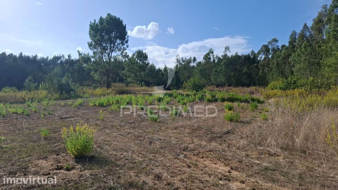 Terreno Rústico com 5,6 ha e Construção Rural, Santarém - Grande imagem: 4/16
