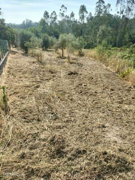 Terreno rustico em Pombal - Grande imagem: 2/4