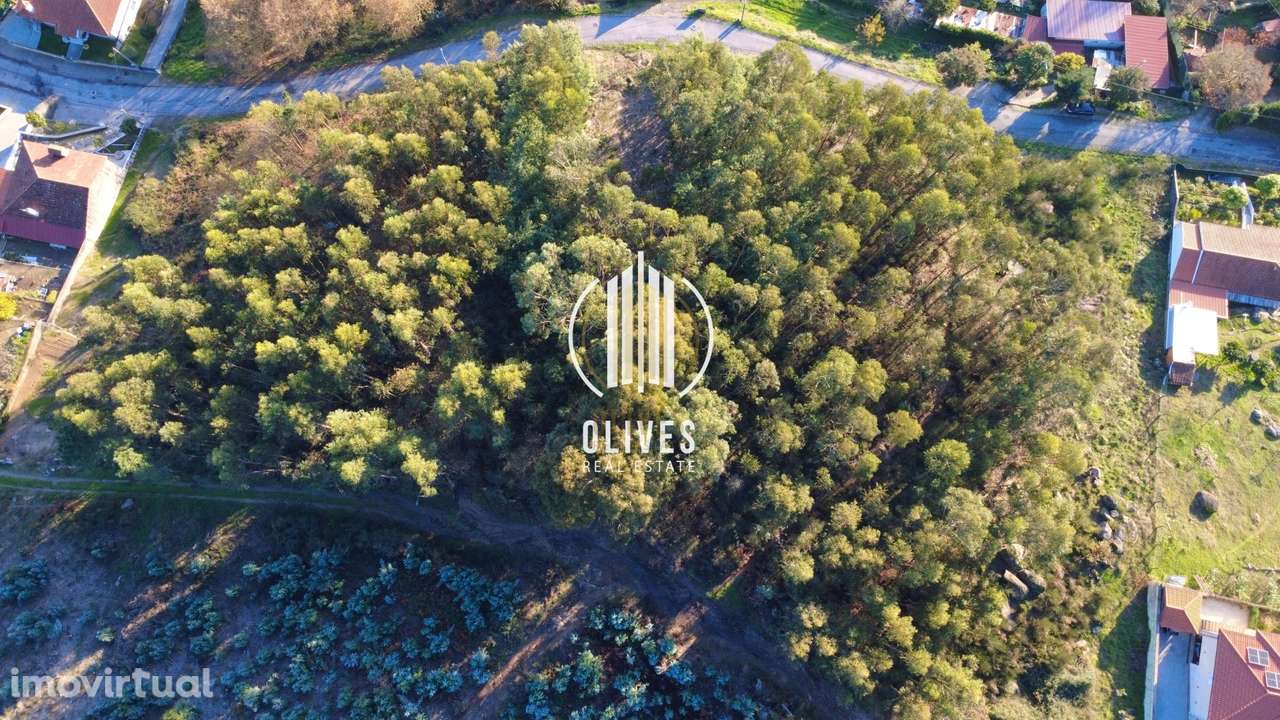 Lote de Terreno  Venda em Airão Santa Maria, Airão São João e Vermil,G - Grande imagem: 5/5