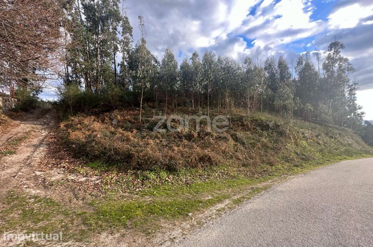 Terreno Rustico em Fonte Arcada e Oliveira 20.485m2 Povoa de Lanhoso - Grande imagem: 5/15