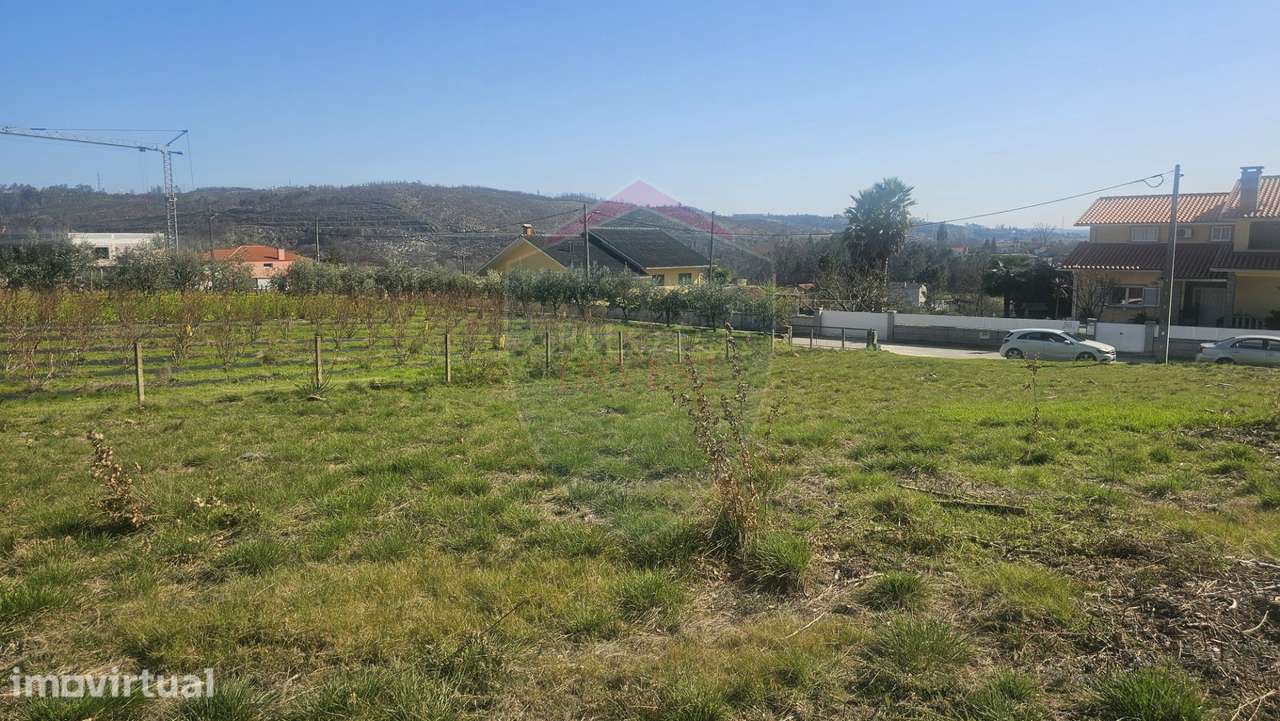 Terreno  Venda em Mamouros, Alva e Ribolhos,Castro Daire - Grande imagem: 4/9