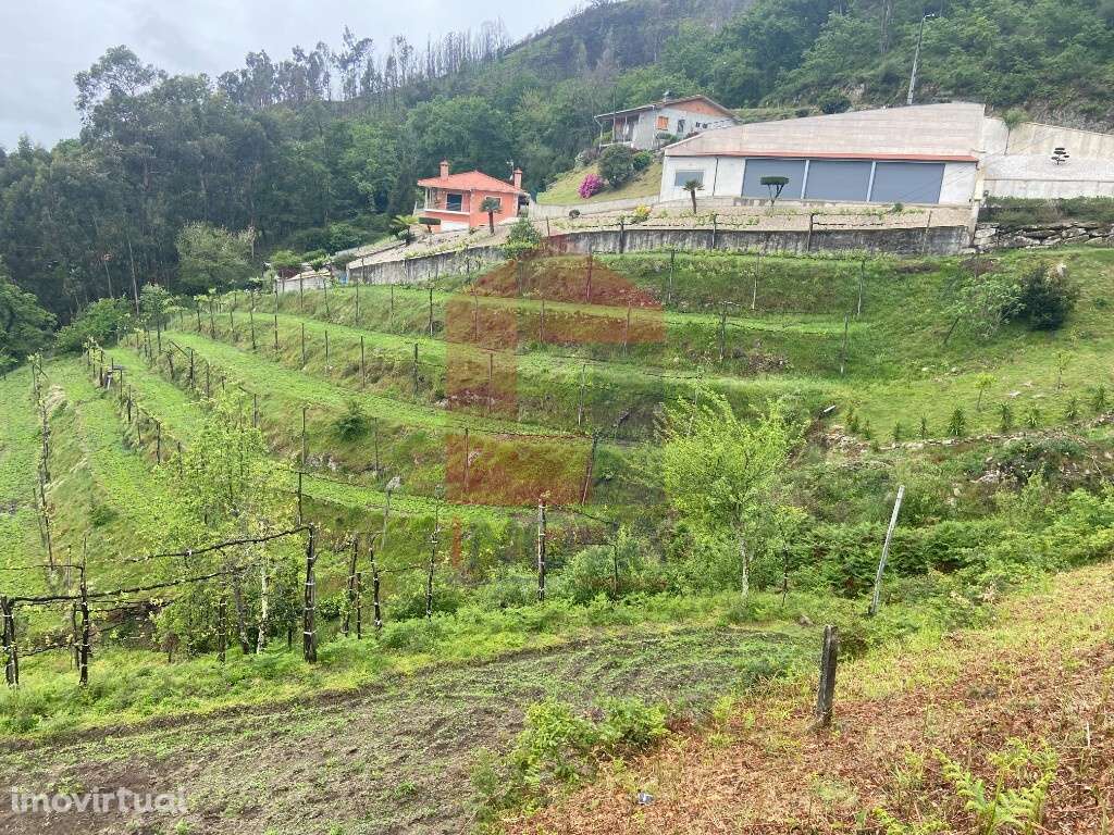 Terreno Agrícola, Barros - Grande imagem: 3/6