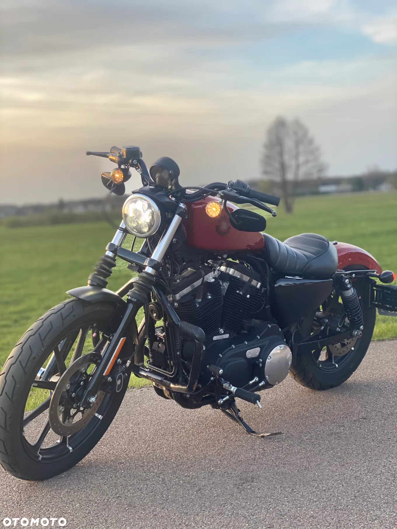 Harley-Davidson Sportster Iron 883 - 4