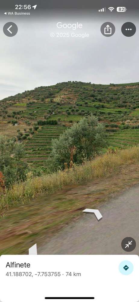 Terreno com Árvores de Fruto em Santa Marta de Penaguião - Grande imagem: 5/22