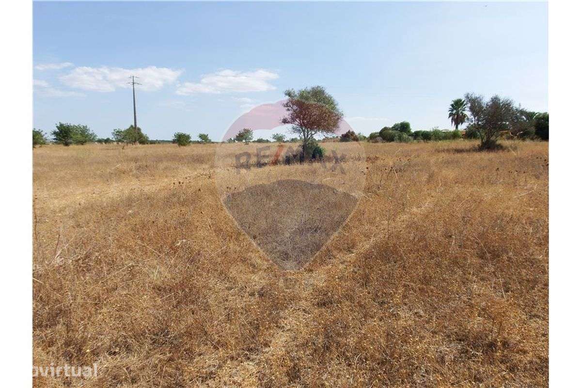 Terreno  para venda - Grande imagem: 4/12