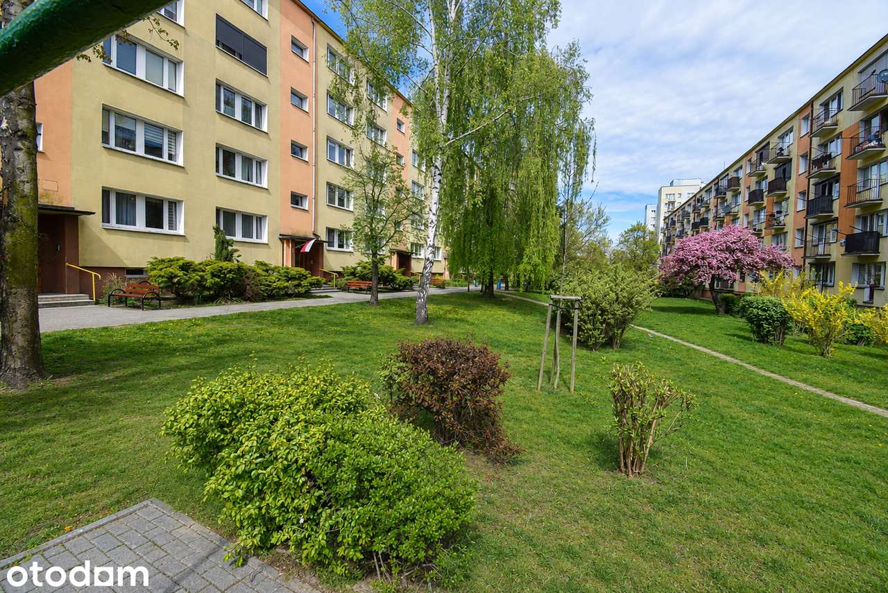 Mieszkanie 2-pokojowe 42m2 ul. Asnyka