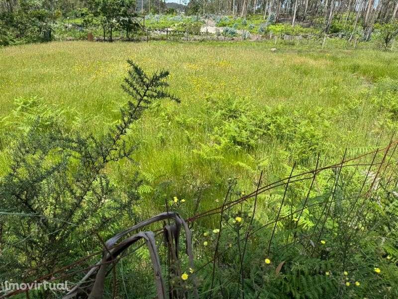 Terreno para Construção - Lamoso, Paços de Ferreira - Grande imagem: 2/5