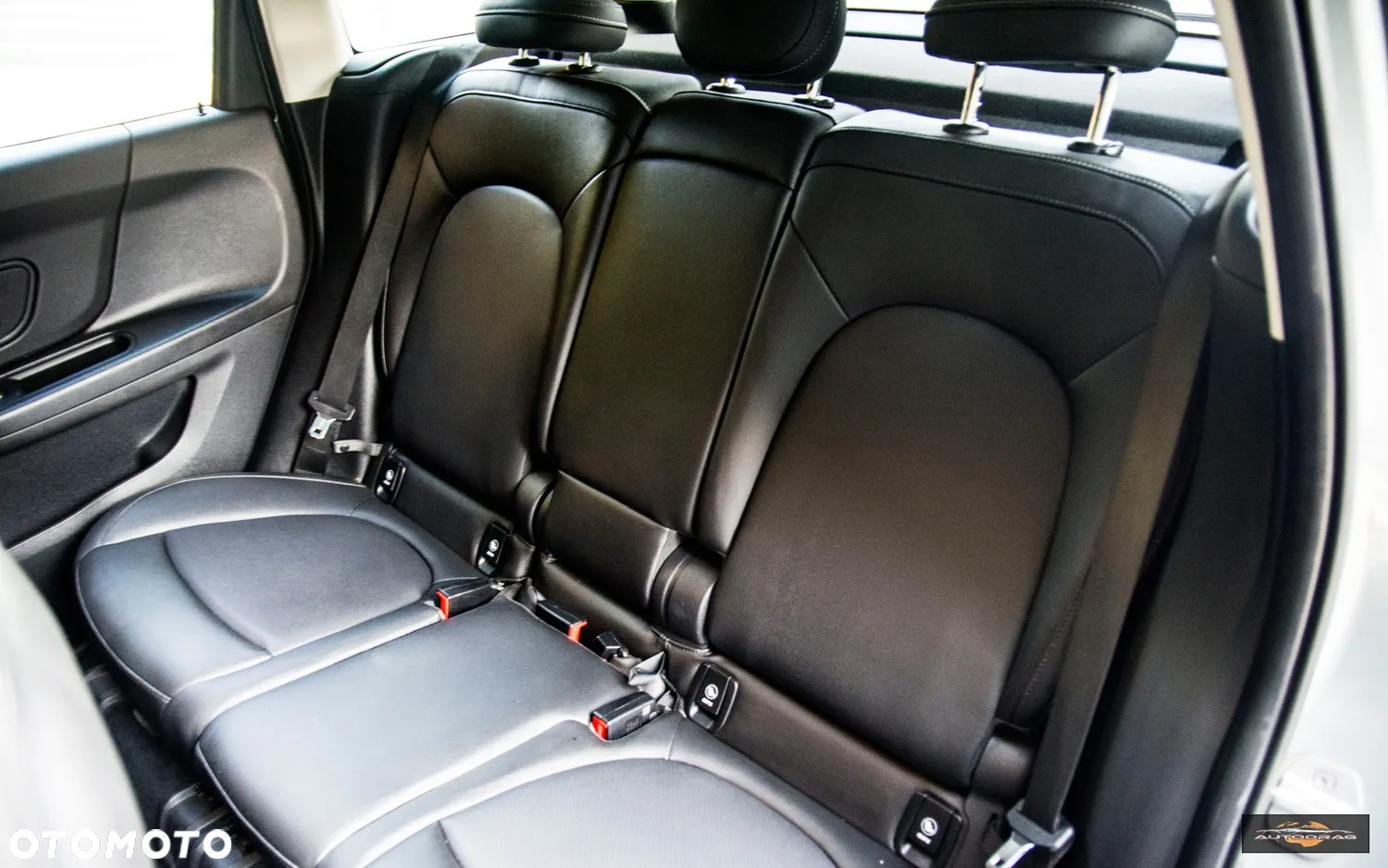 MINI Countryman - 26