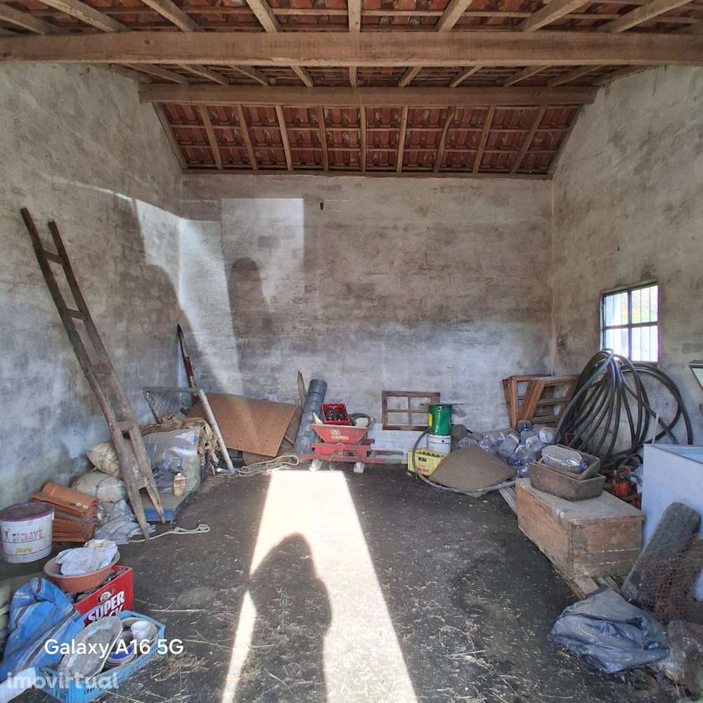 Garagem com Terraço e Quintal - Cepos (Arganil) - Grande imagem: 3/14