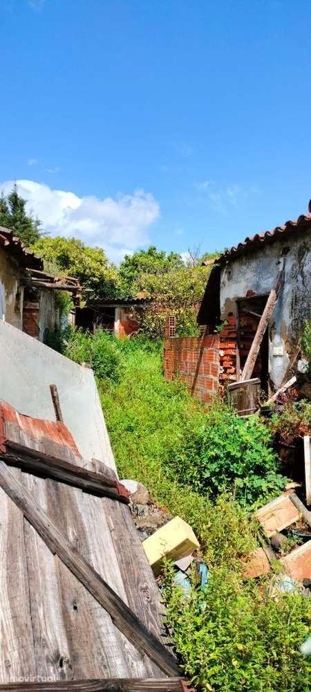 Moradia para recuperar em Alcanhões - Grande imagem: 5/5