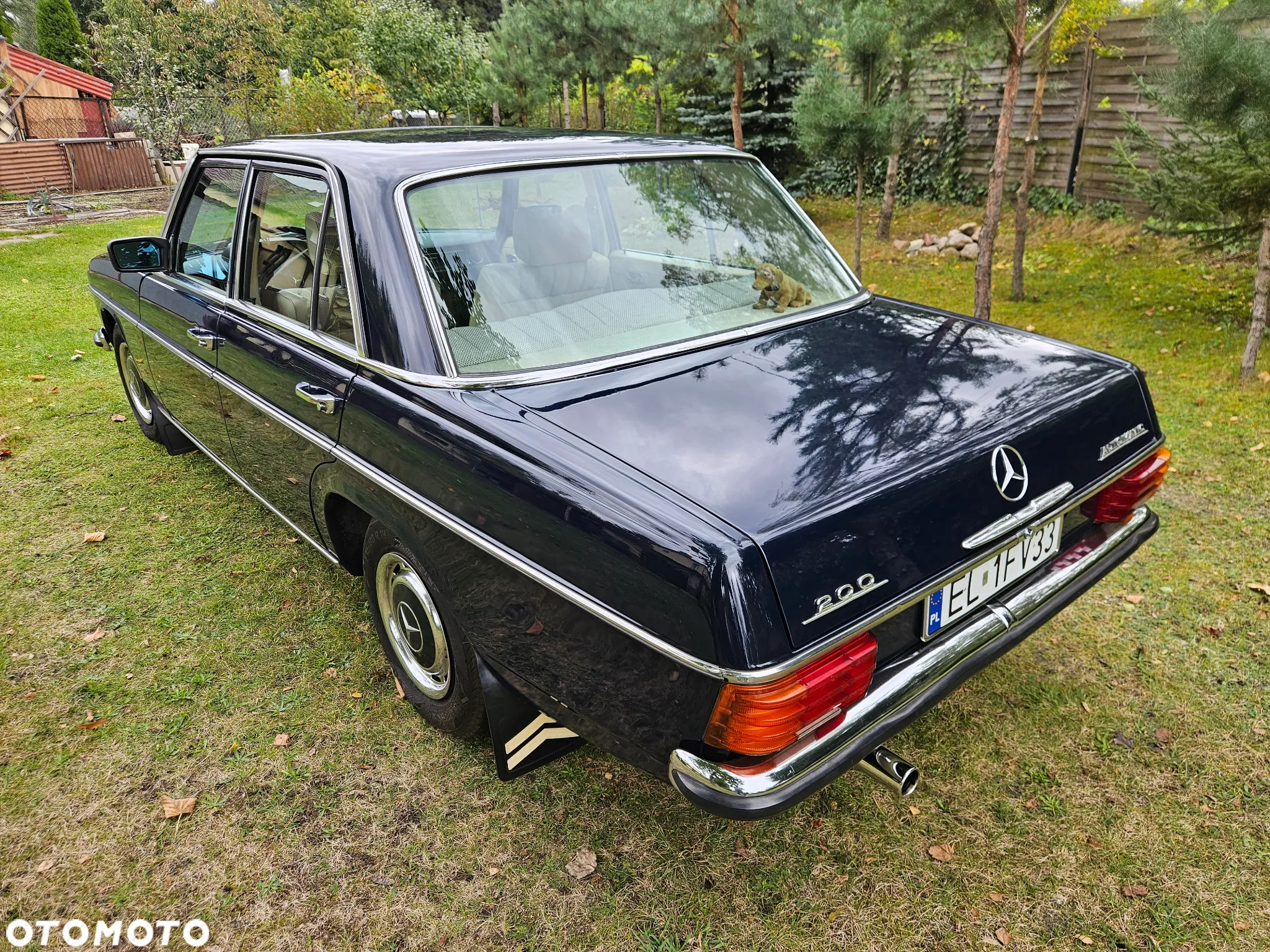 Mercedes-Benz Inny - 4