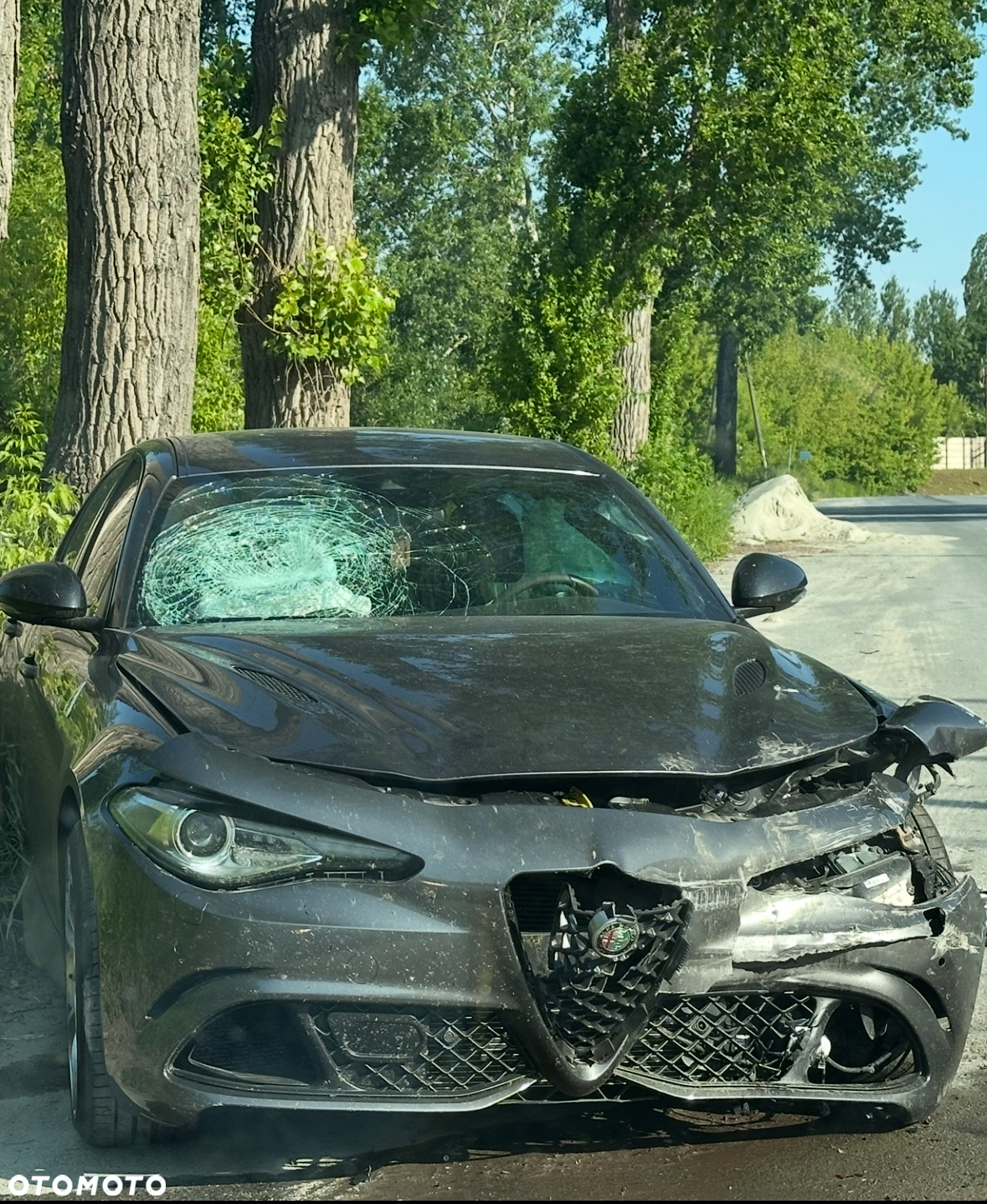 Alfa Romeo Giulia 2.9 Bi Turbo V6 Quadrifoglio - 3