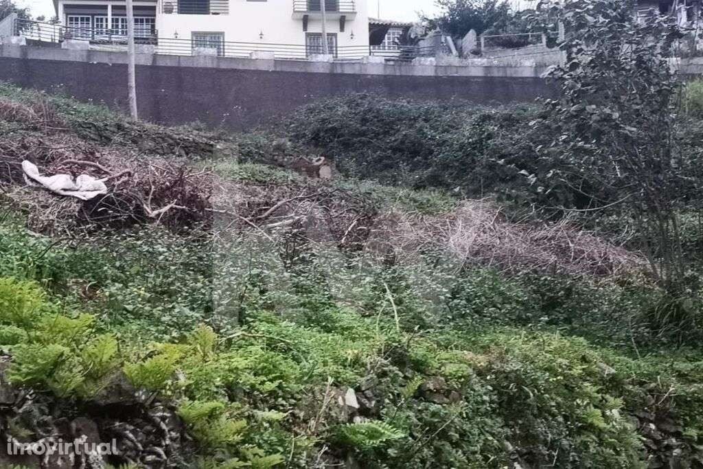 TERRENO PARA CONSTRUÇÃO - SALÃO - GAULA - Grande imagem: 4/12