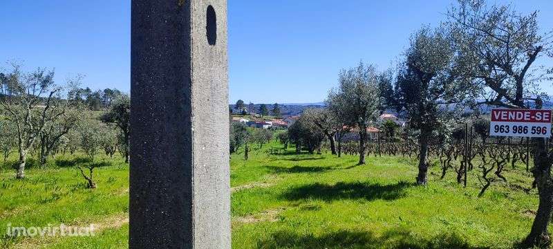 Terreno a 24km de Viseu - Grande imagem: 2/6