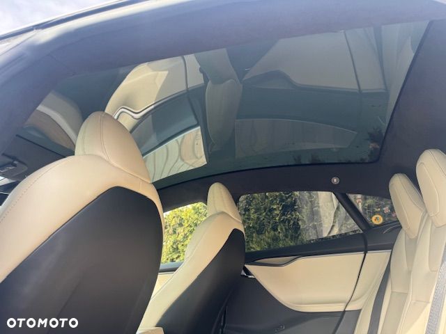 Tesla Model S Performance - 19