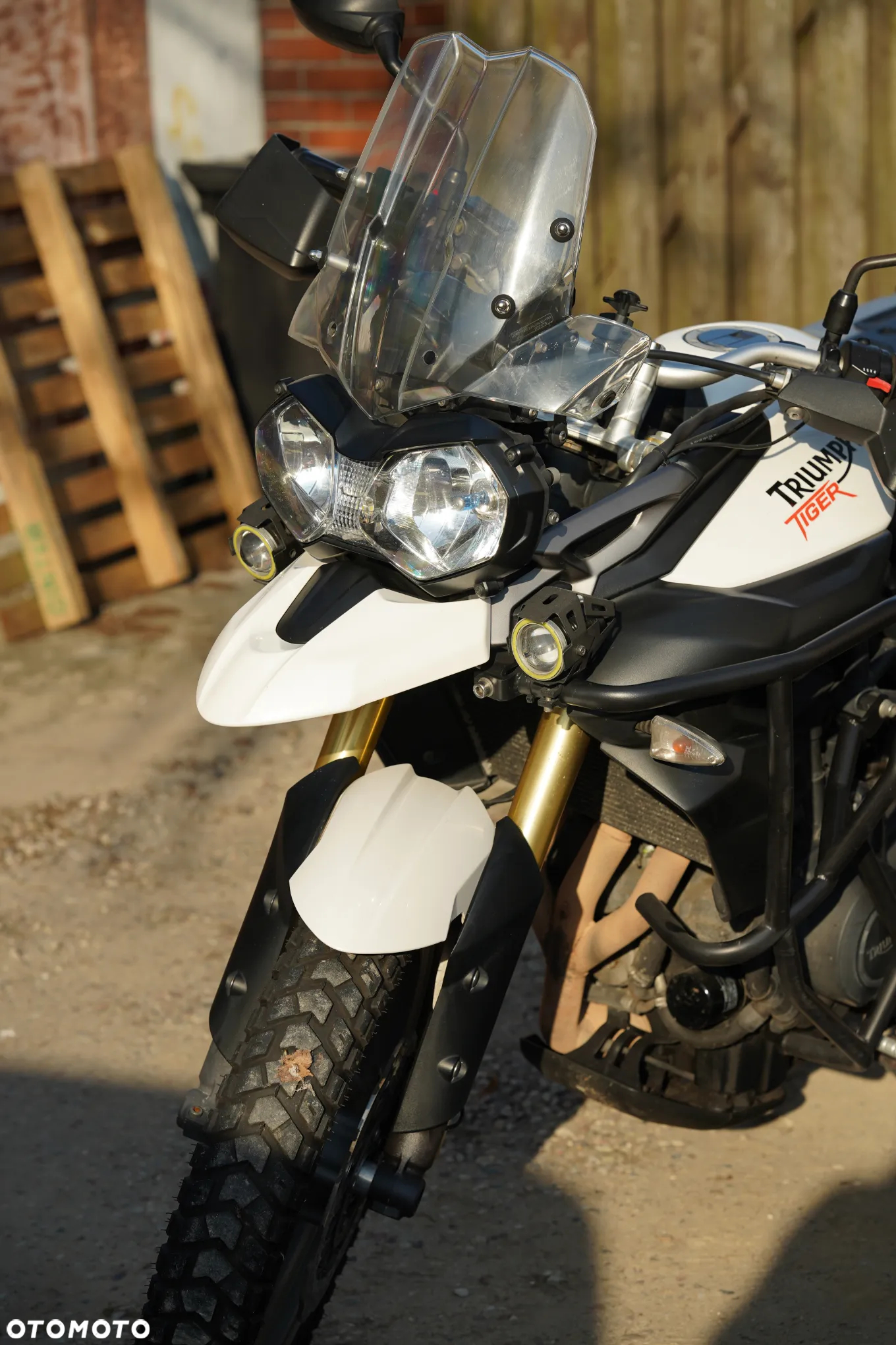 Triumph Tiger - 27