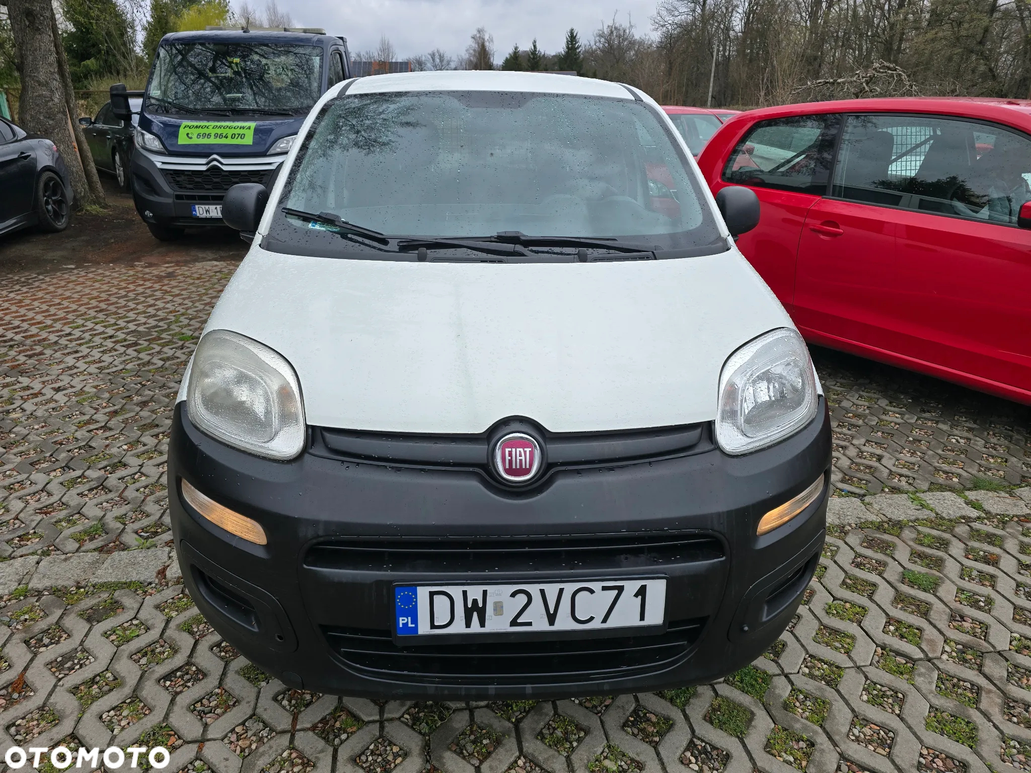 Fiat Panda 1.2 Active Eco - 6