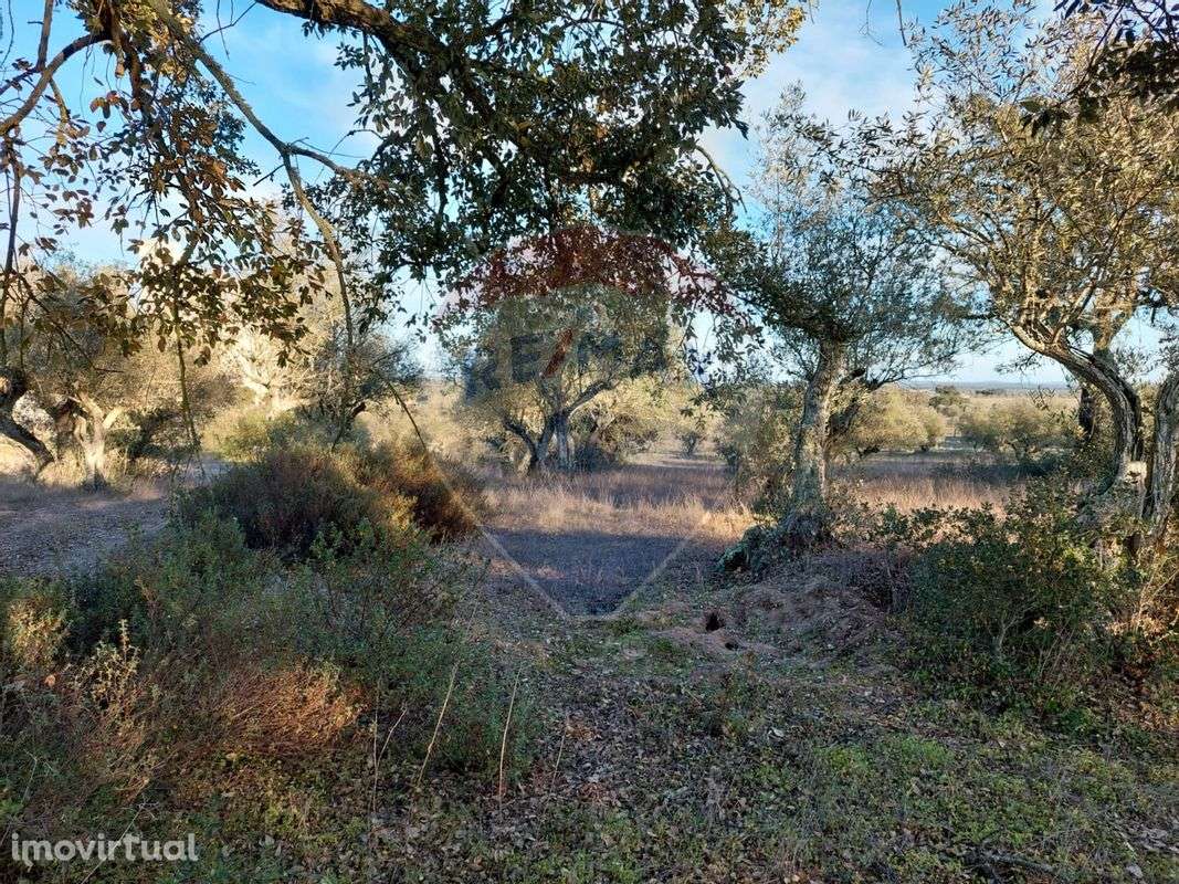 Terreno  para venda - Grande imagem: 3/11