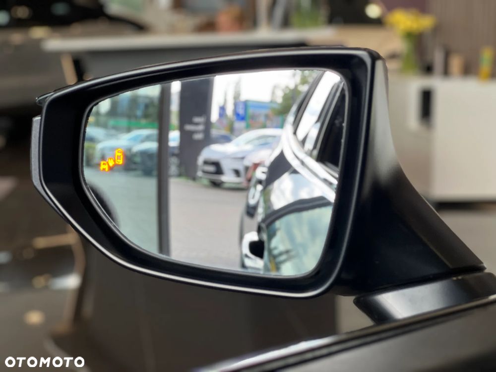 Lexus UX 300h F Sport Design - 18