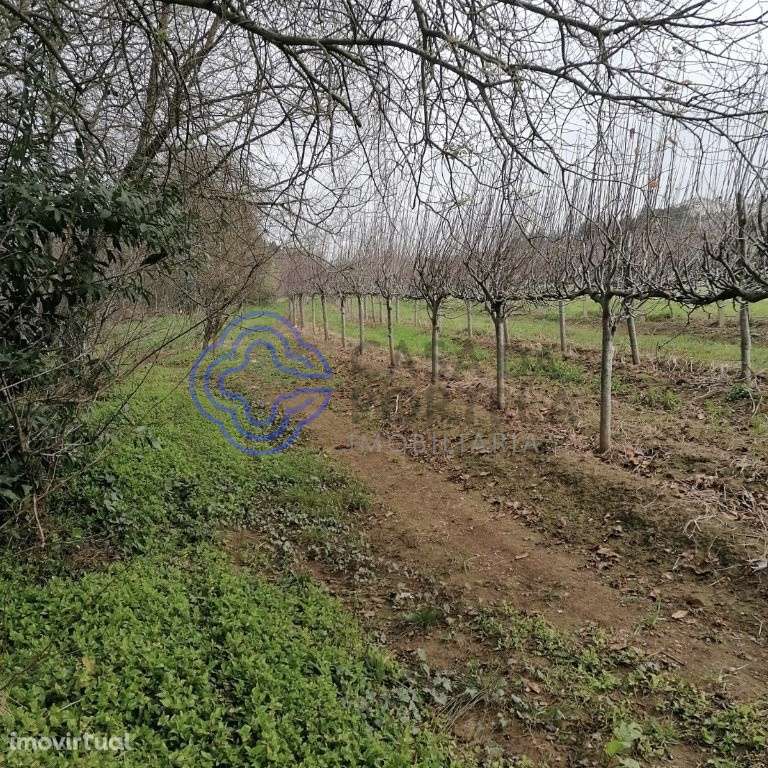 Terreno em Ermesinde com 2.900m2 - Grande imagem: 5/7