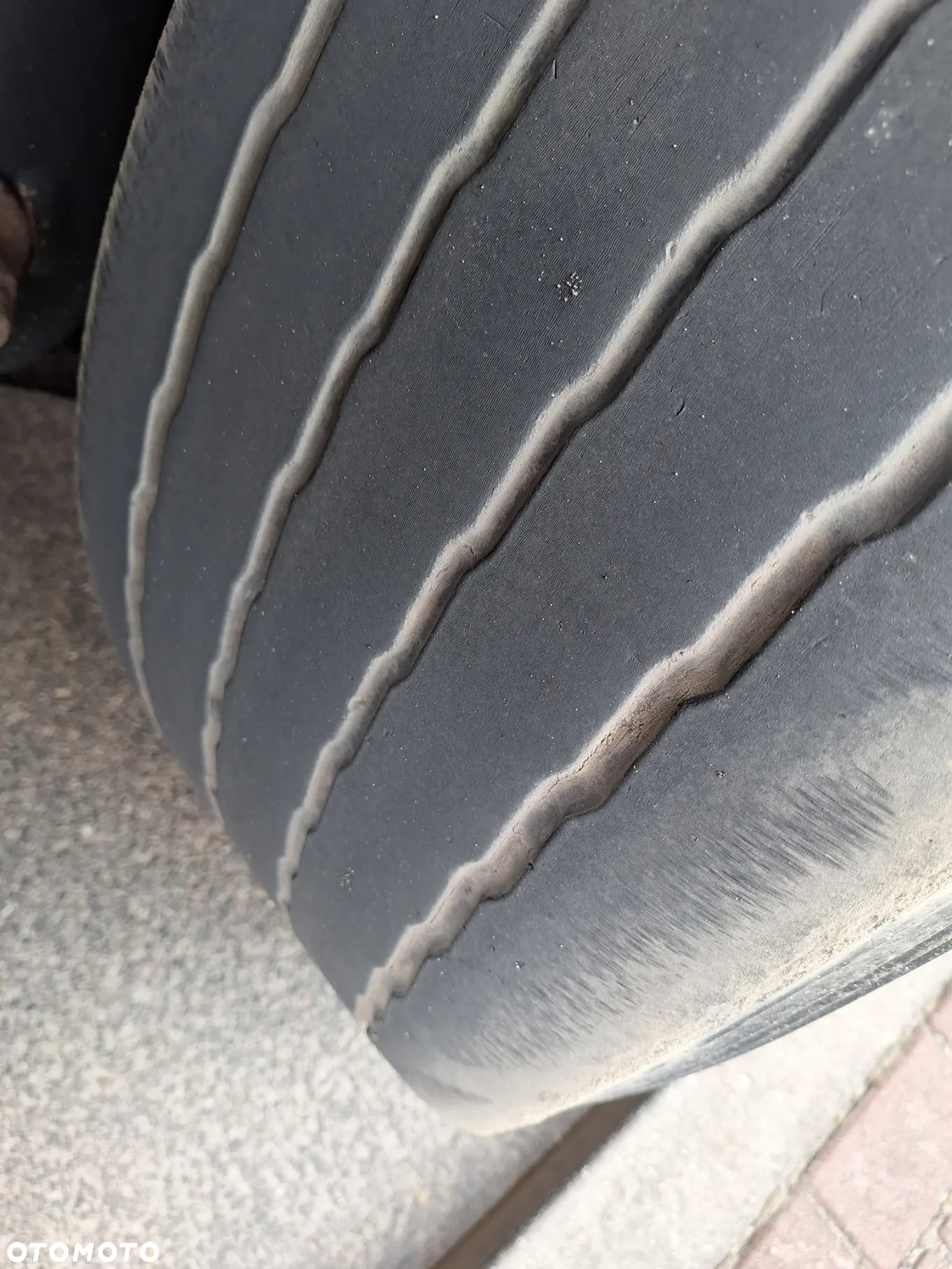 Kögel FIRANKA STANDARD SAF INTRAX TARCZA COIL MULDA - 20