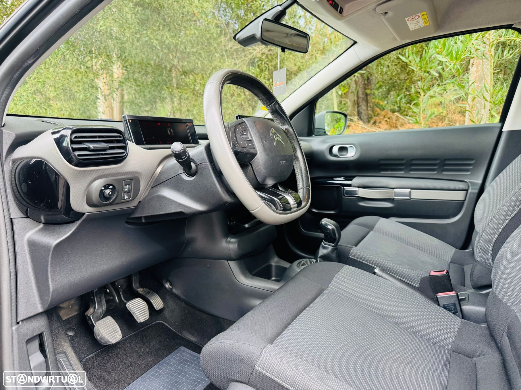 Citroën C4 Cactus 1.6 BlueHDi Shine - 19
