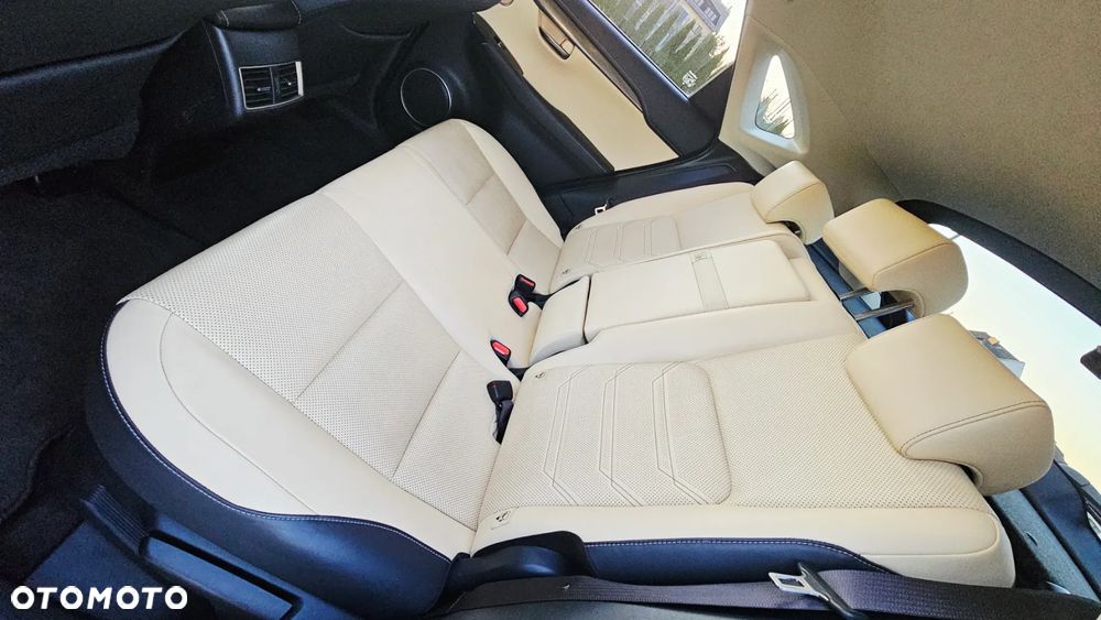 Lexus NX 300 Comfort AWD - 31