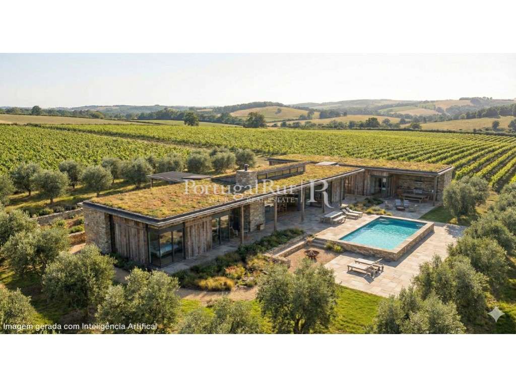 Terreno de 5,94 ha com Vinha em Exploração - Grande imagem: 5/14