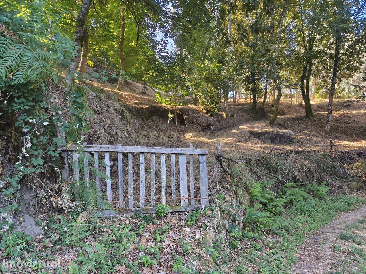 Terreno Rústico com 5.720m² no Gerês, Excelente Acesso e Proximidade a - Grande imagem: 2/12
